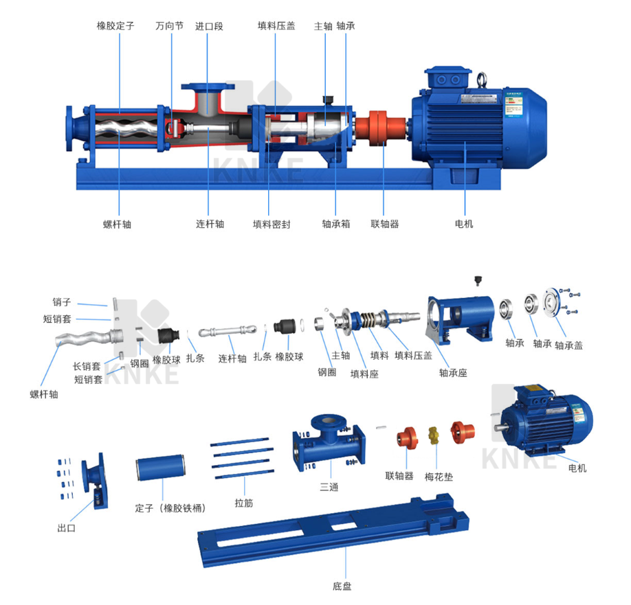 进口无极调速螺杆泵结构图 进口无极调速螺杆泵结构图
