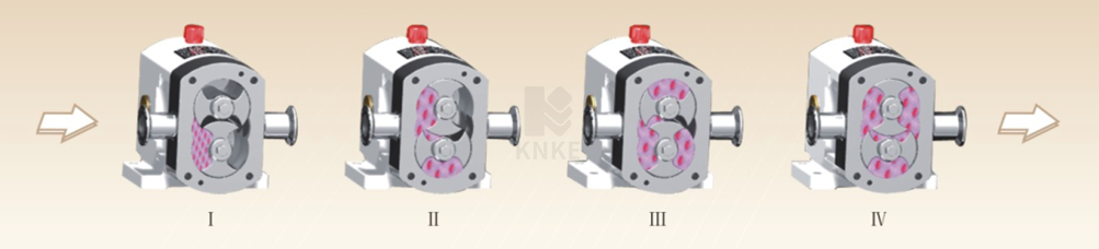 进口RP系列转子泵(图1) image.png