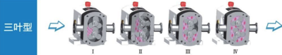 进口转子泵(图2) image.png